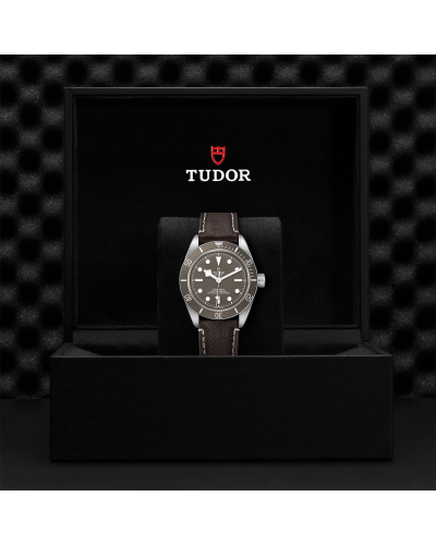 Tudor Black Bay Fifty-Eight 39 mm silver case, Brown leather bracelet (watches)